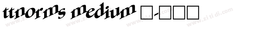 ttnorms medium 中字体转换